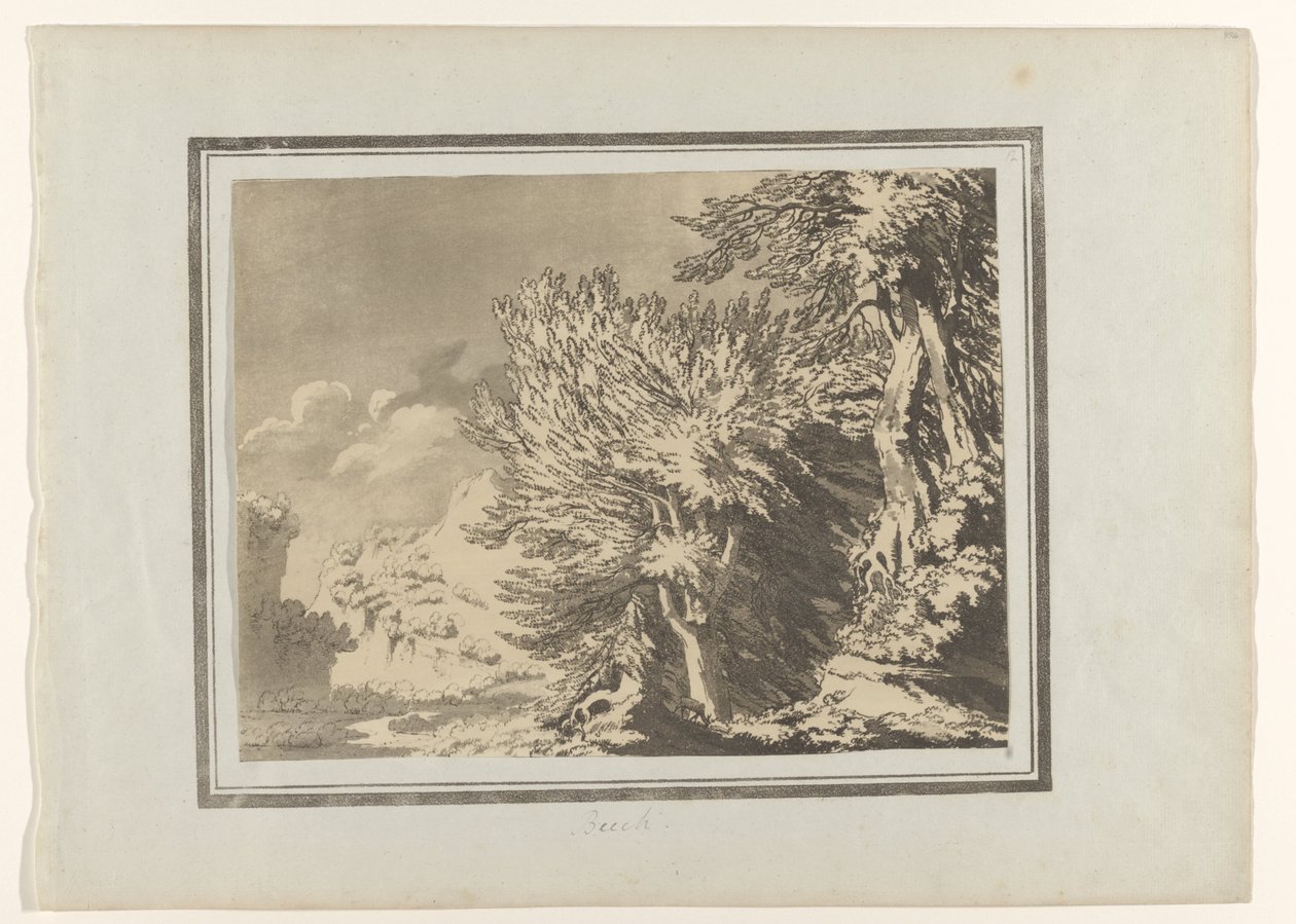 Beuk
Faia (título sobre o objecto)
Verschillende soorten bomen (título da série)
Delineamentos do Carácter Geral, Ramificações e Folhagem das Árvores Florestais (título da série) de John Robert Cozens