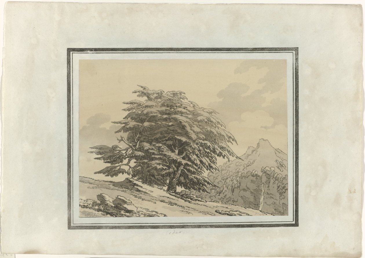 Cedro de John Robert Cozens