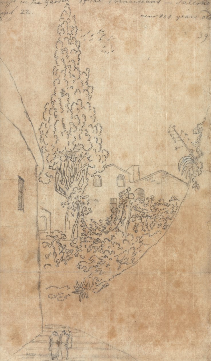 Cipreste no jardim dos franciscanos de Salerno de John Robert Cozens