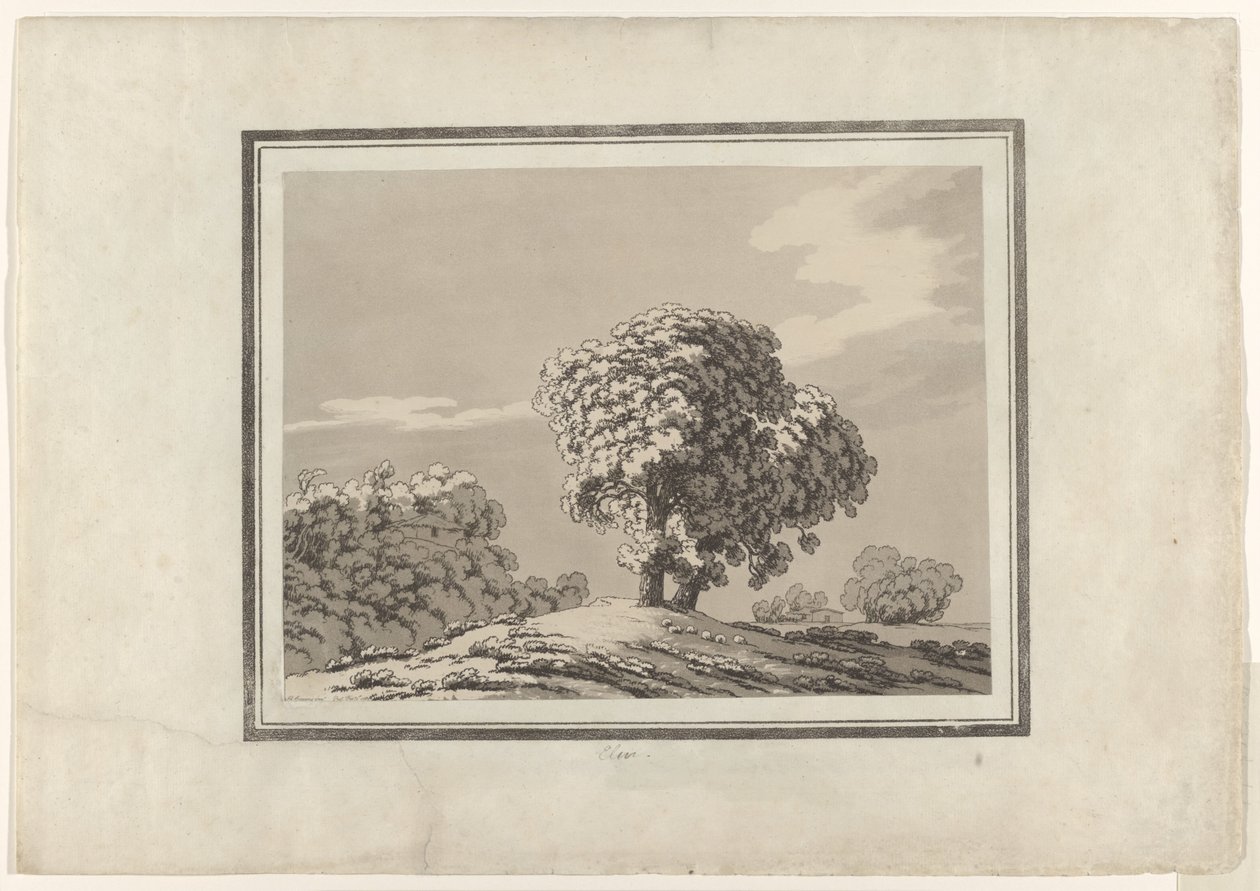Elm de John Robert Cozens