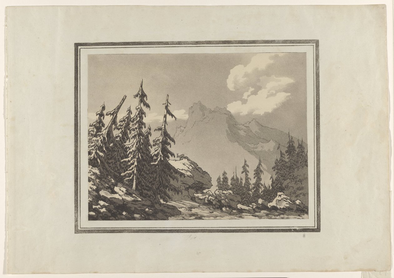 Fir de John Robert Cozens