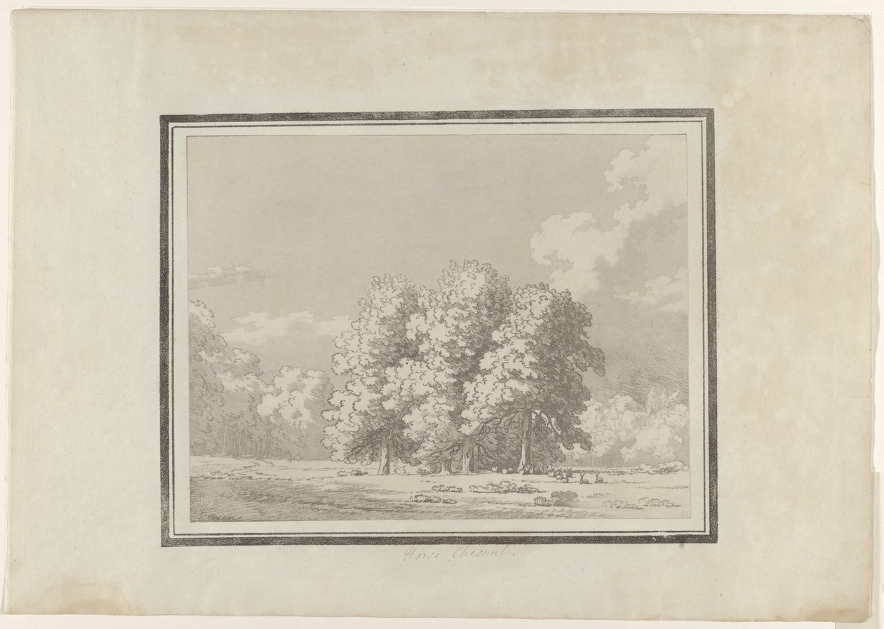 Castanha da Índia de John Robert Cozens