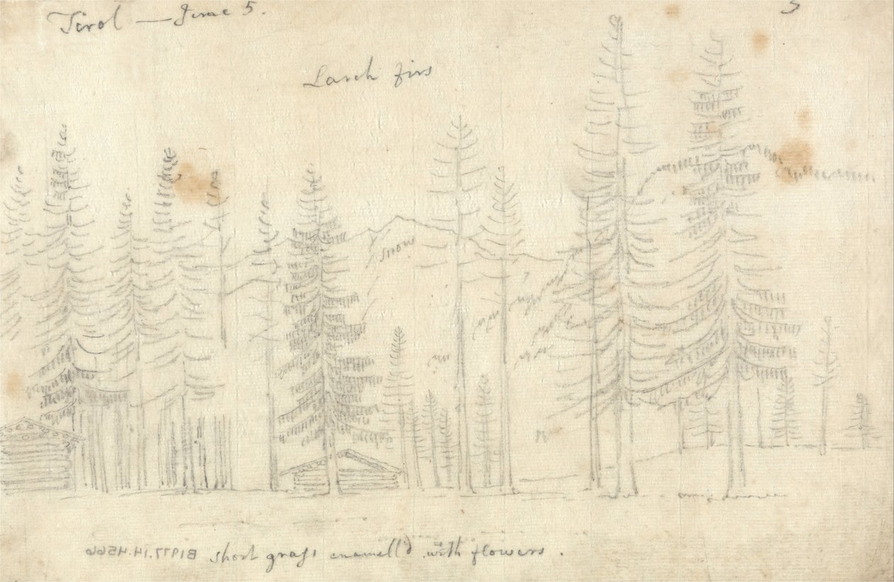 No Tirol de John Robert Cozens