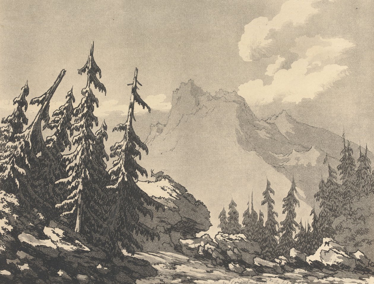 Abeto-vermelho de John Robert Cozens