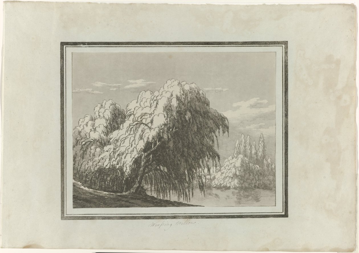 Salgueiro chorão de John Robert Cozens