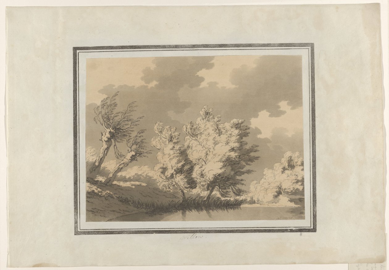 Salgueiro de John Robert Cozens