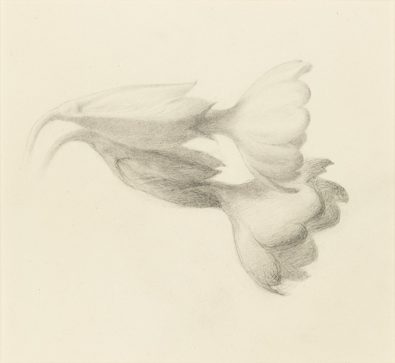 Cowslip Bells, provavelmente 1871. de John Ruskin