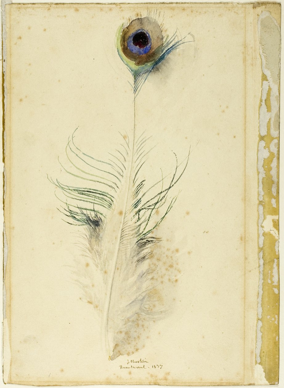 Pena de pavão de John Ruskin