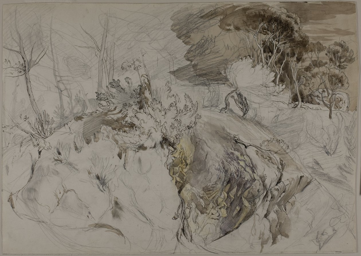 Arbustos e árvores na paisagem rochosa de John Ruskin