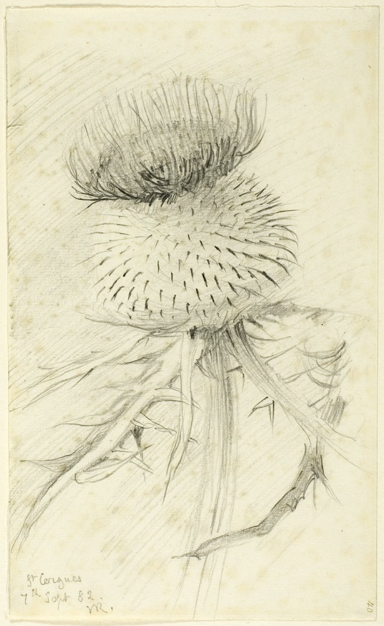 St. Cergues de John Ruskin