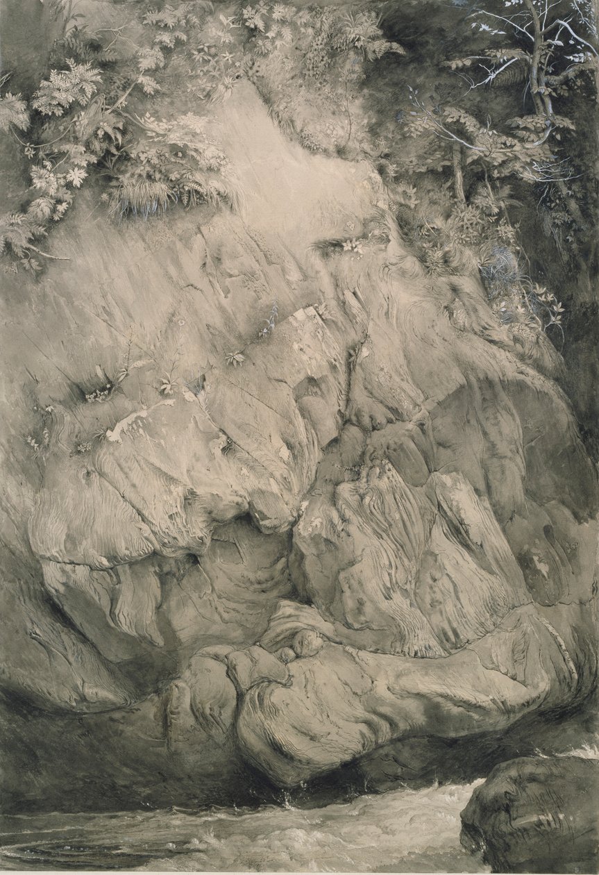 Estudo de Gneiss Rock, Glenfinlas, julho de 1853 a fevereiro de 1854 de John Ruskin