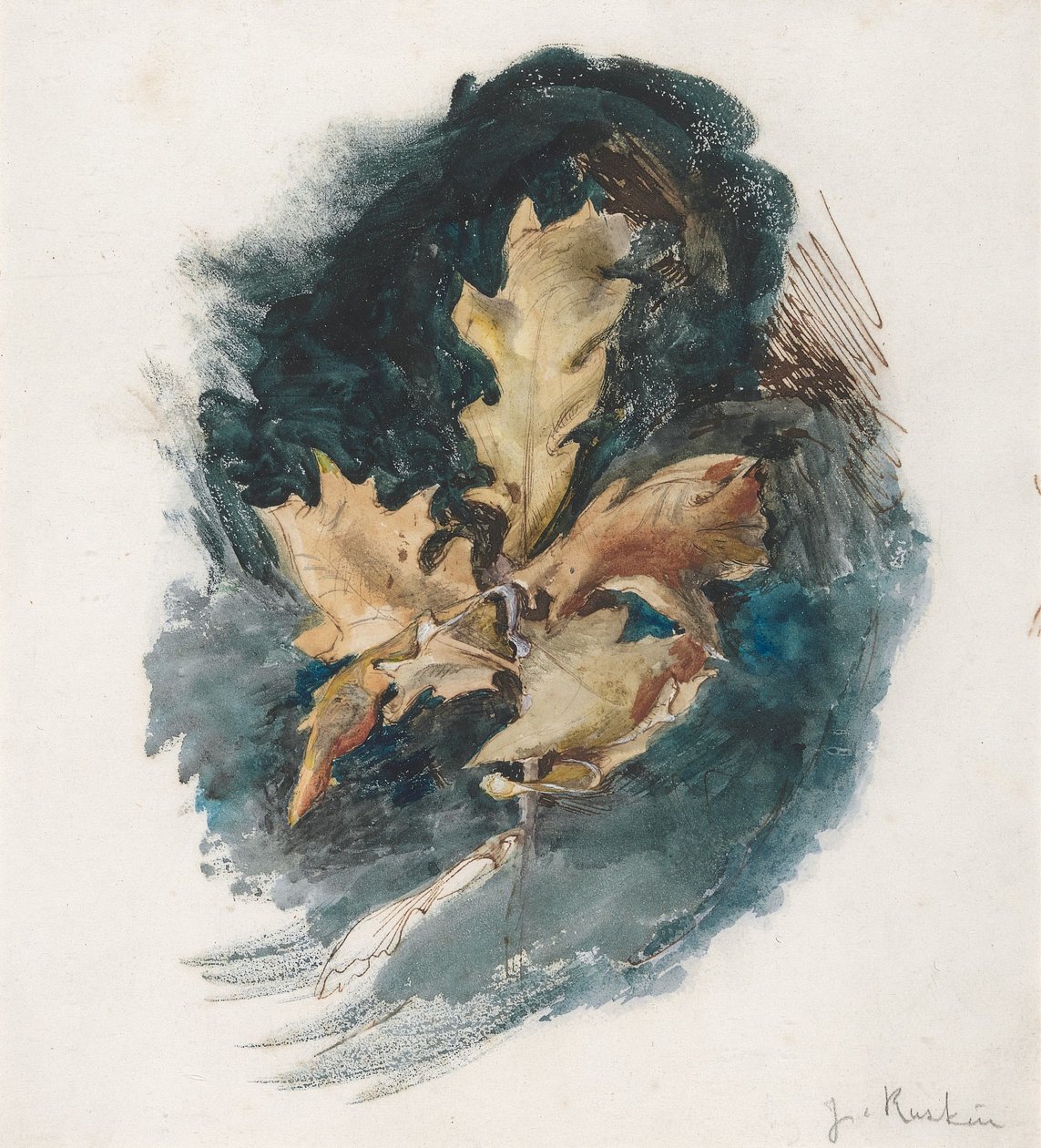 Estudo de uma folha de carvalho de John Ruskin