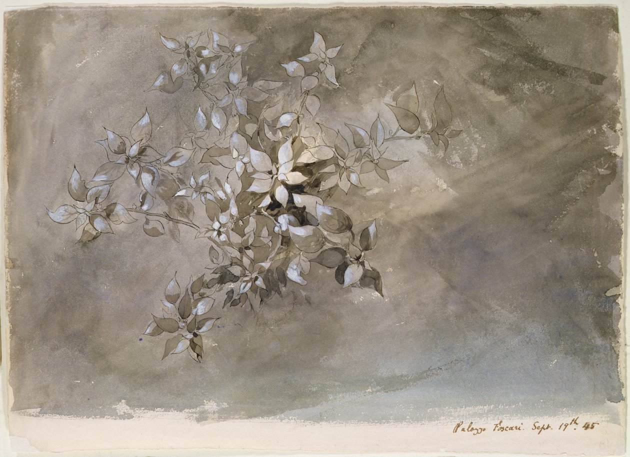 Estudo da folhagem de John Ruskin