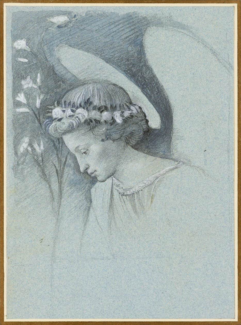 Estudo do Chefe do Anjo Gabriel em "O Anjo Anunciador" de Filippo Lippi, 28 de Junho de 1870. de John Ruskin