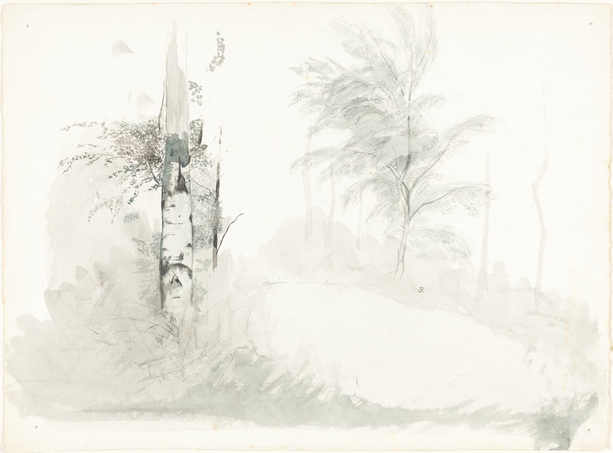 Estudo da Árvore de John Ruskin