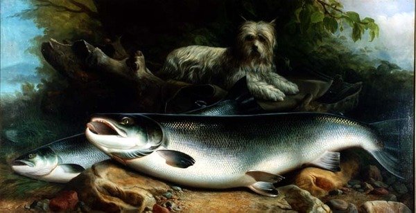 Guardando a Apanha do Dia; um Skye Terrier com um Galo e um Salmão Hen de John Russell