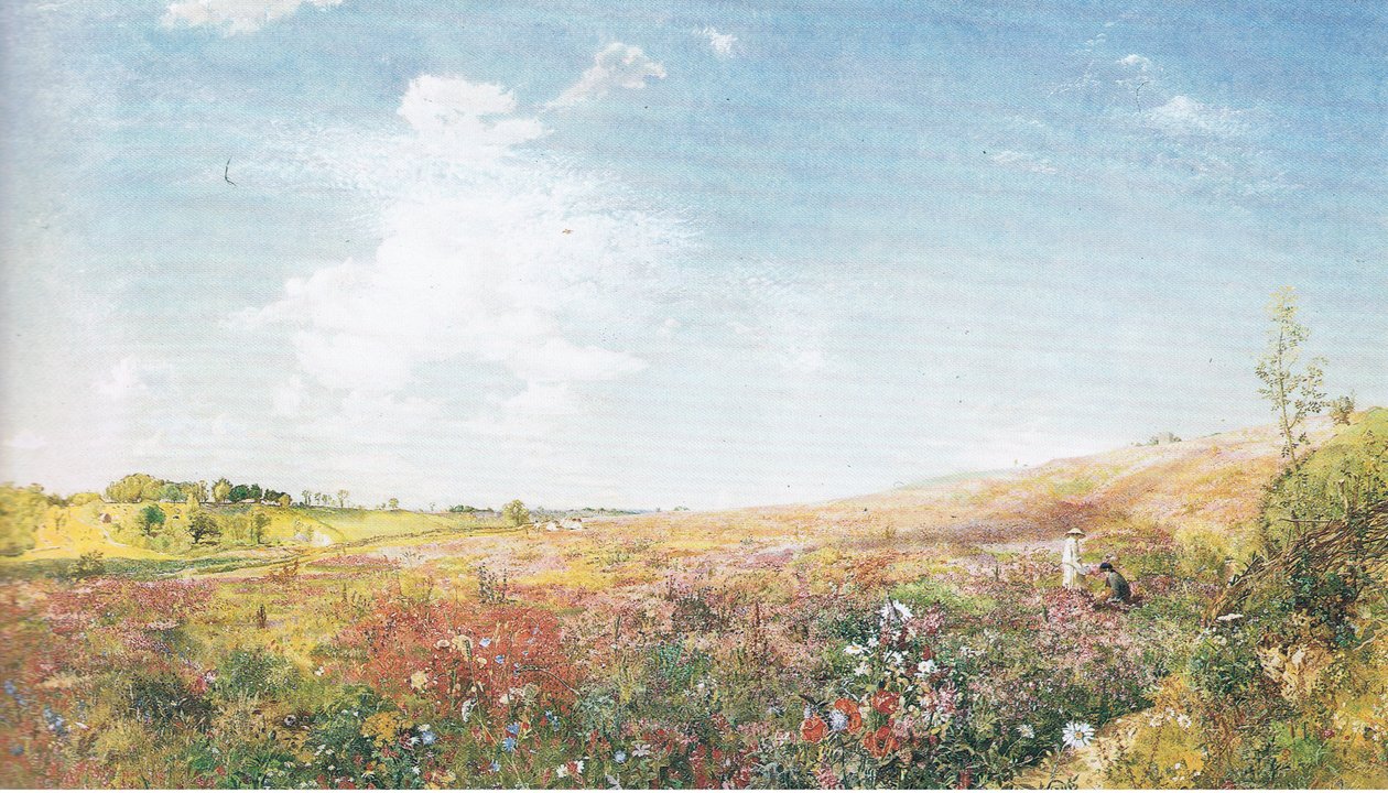 Paisagem de verão de John Samuel Raven