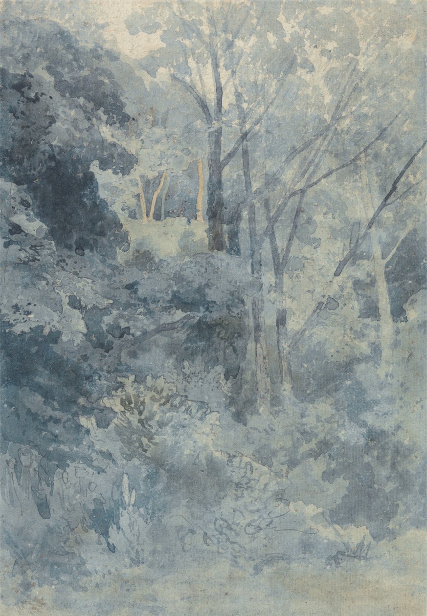 No parque de Rokeby de John Sell Cotman