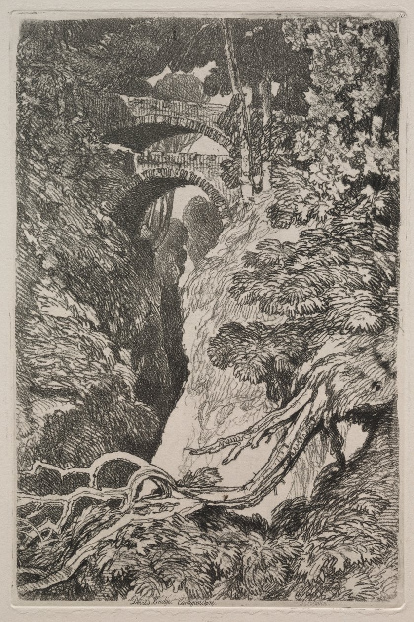 Liber Studiorum: Ponte do Diabo, Cardiganshire de John Sell Cotman