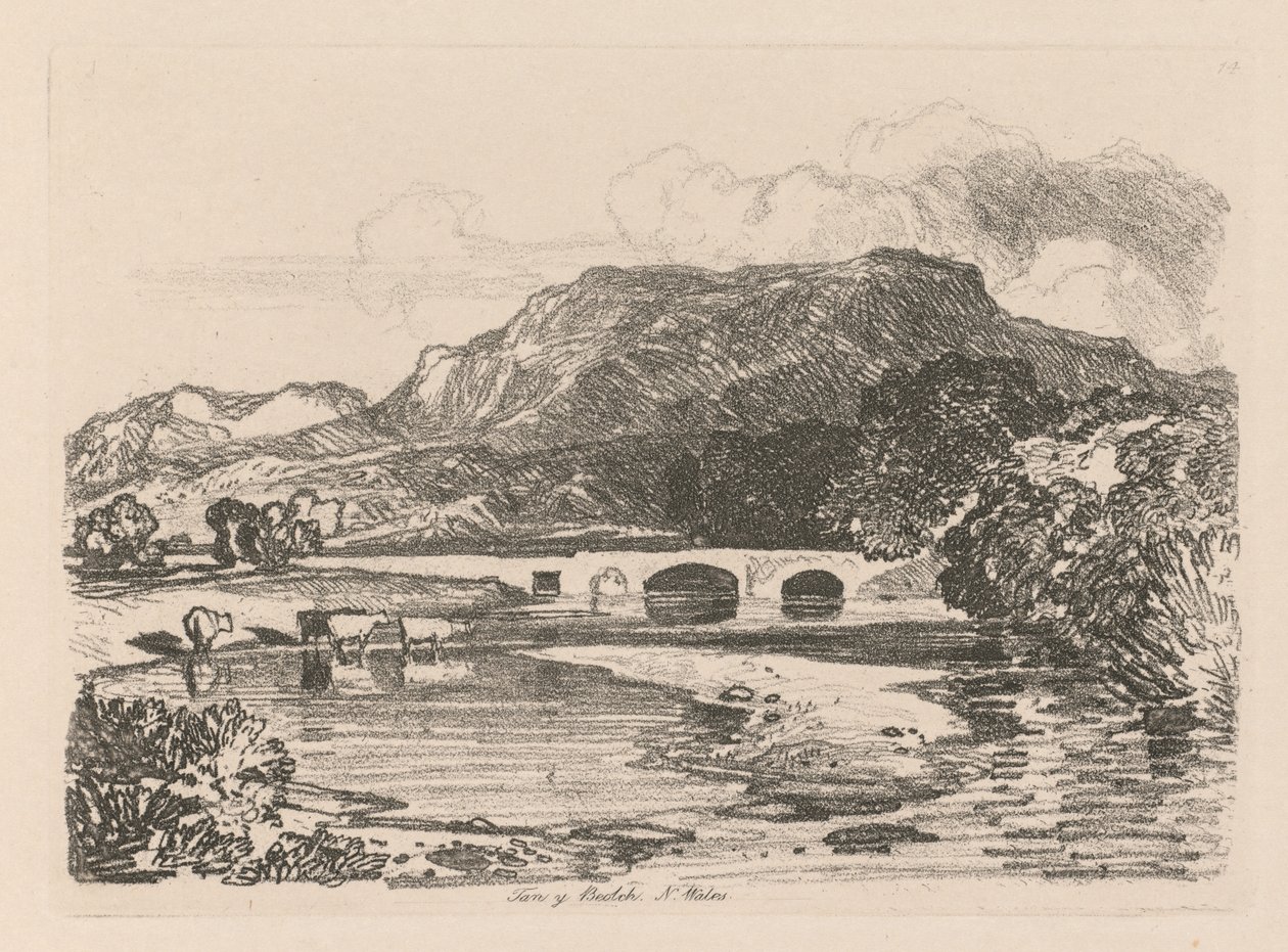 Liber Studiorum: Placa 14, Tan-y-Bwlch, Merionethshire, Gales do Norte, 1838. de John Sell Cotman