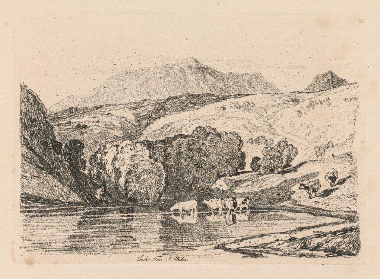 Livro de Estudos: Placa 15, Cader Iris, North Wales de John Sell Cotman