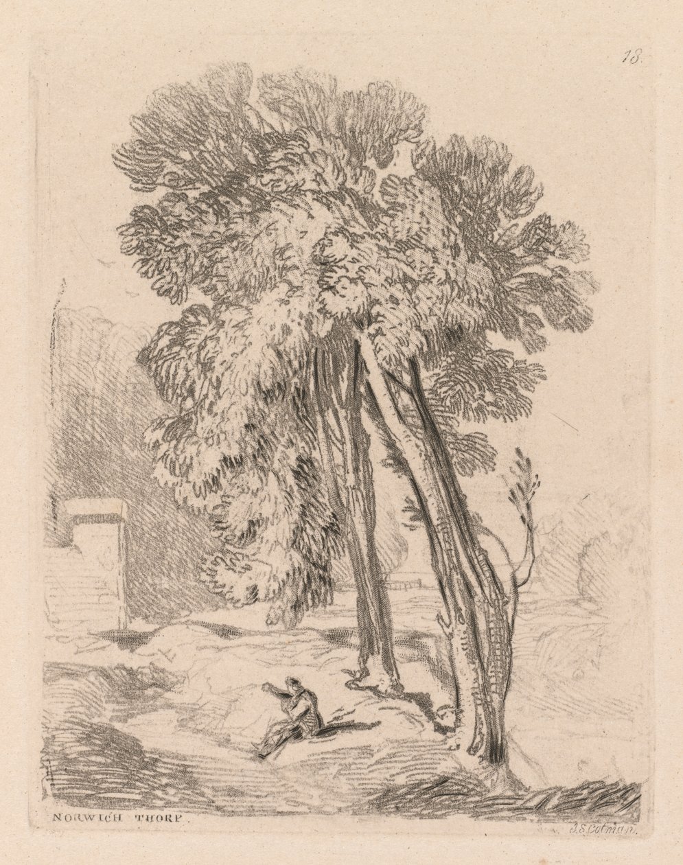 Liber Studiorum: Placa 18, Árvores em Norwich Thorp, Norfolk de John Sell Cotman