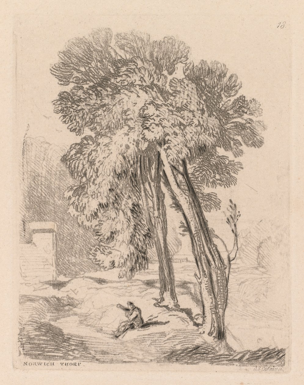 Estudos estão Placa livre 18 árvores em Norwich Thorpe, Norfolk de 1838. de John Sell Cotman