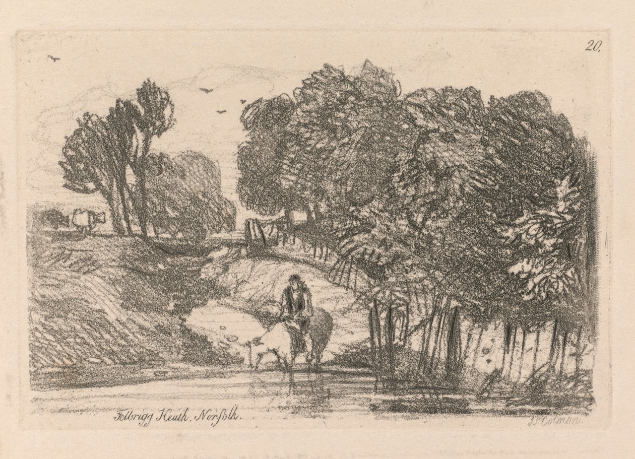 Liber Studiorum: Placa 20, Felbrigg Heath, Norfolk de John Sell Cotman