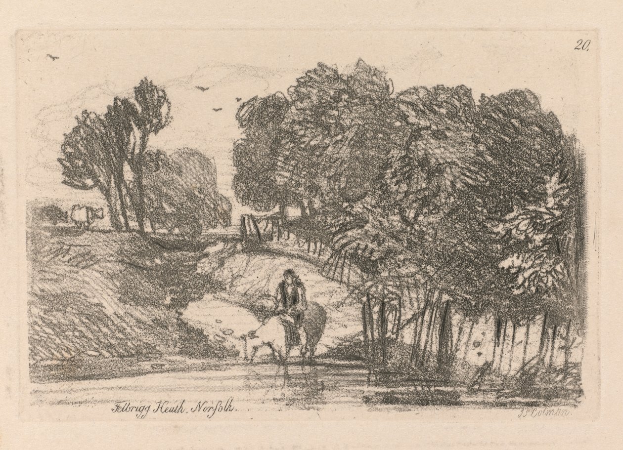 Estudos estão livres da placa 20, Felbrigg saúde, Norfolk de 1838. de John Sell Cotman
