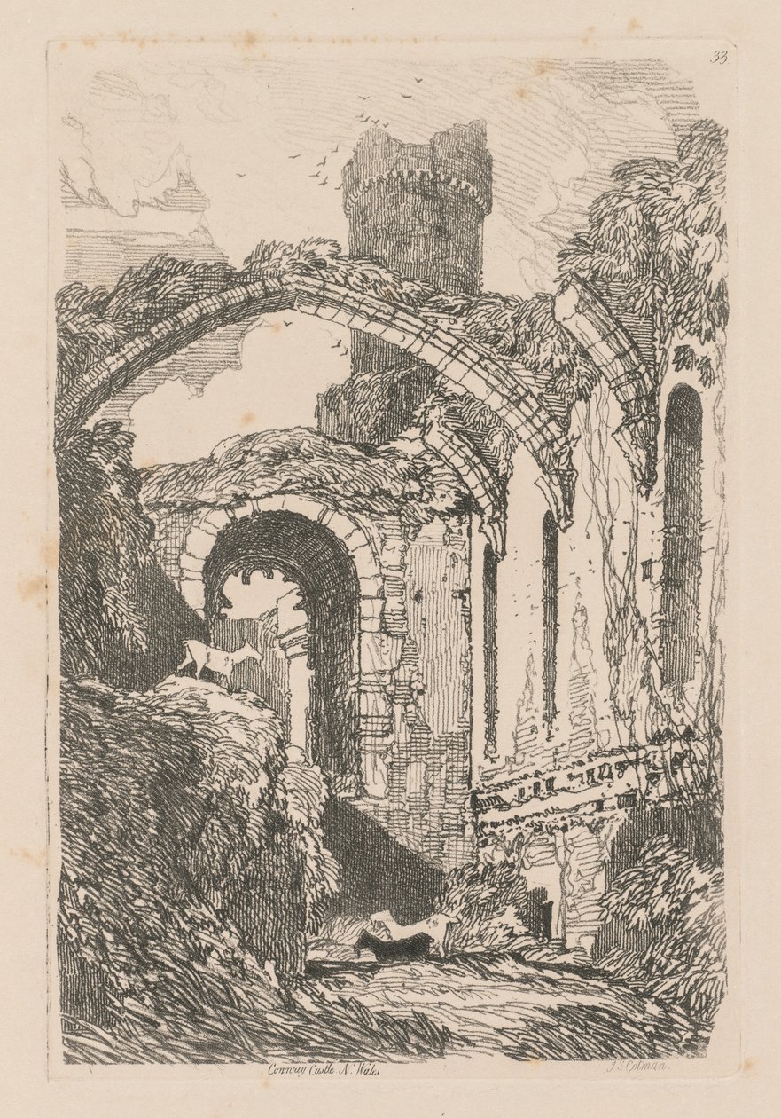 Livro de Estudos: Placa 33, Castelo de Conway, N. Wales de John Sell Cotman