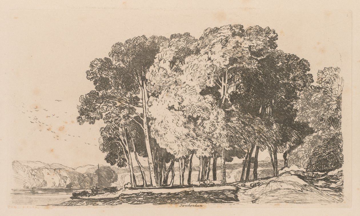 Liber Studiorum: Placa 3, Árvores perto de Twickenham de John Sell Cotman