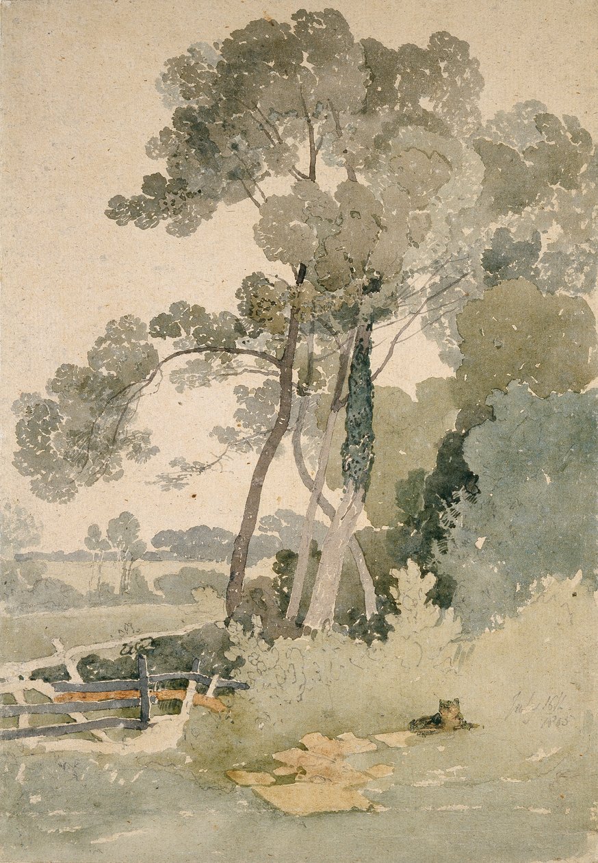 Perto de Brandsby, Yorkshire, 1865 de John Sell Cotman
