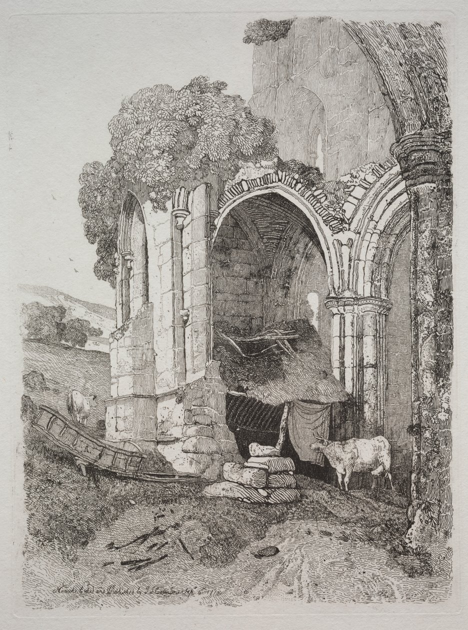 Abadia de Rievaulx, Yorkshire de John Sell Cotman