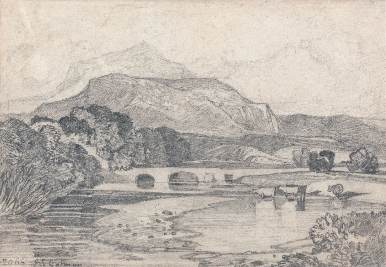 Tan-y-Bwlch, País de Gales do Norte de John Sell Cotman