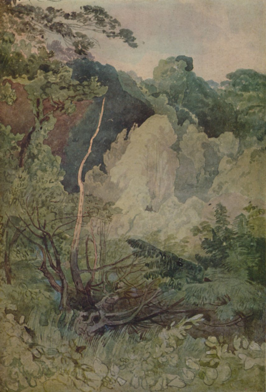 Árvores perto do rio Greta, 1923 de John Sell Cotman