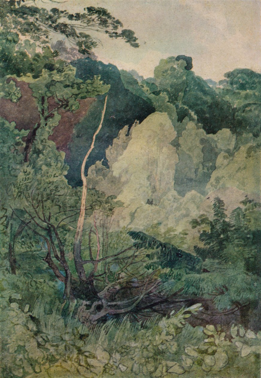 Árvores perto do rio Greta, século c19 de John Sell Cotman