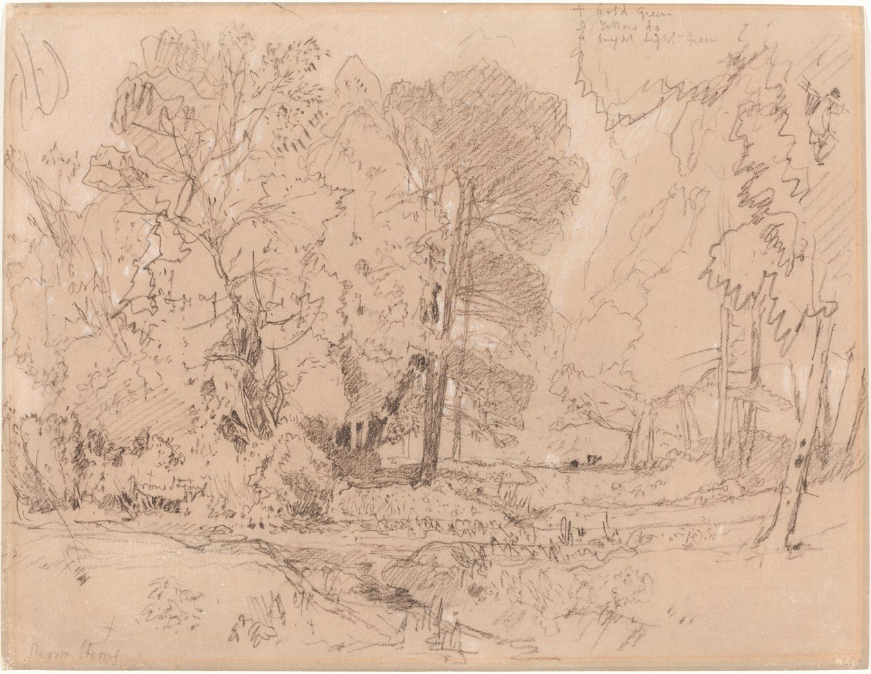 Paisagem arborizada de John Sell Cotman
