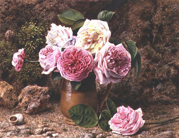 Rosas (aguarela e guache) de John Sherrin