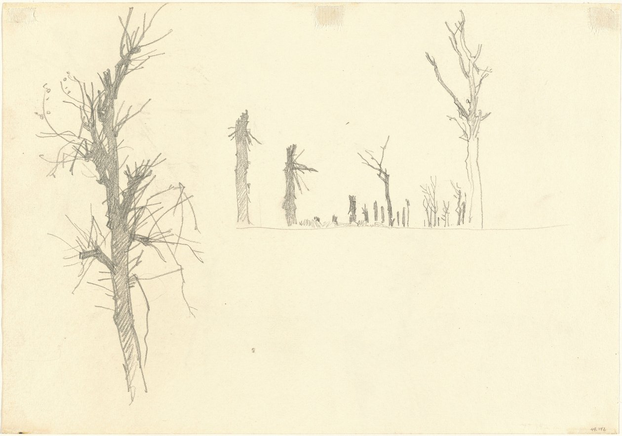 Devastated Trees [verso], 1918. de John Singer Sargent