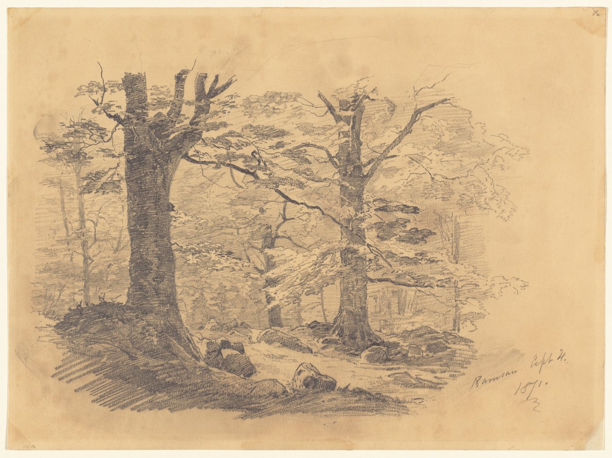 Floresta, Ramsau, Alemanha de John Singer Sargent