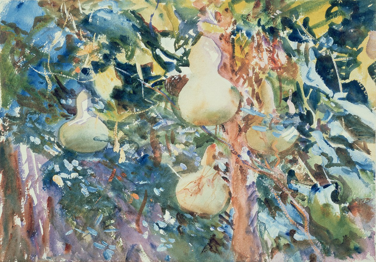 Cabaças, c.1905 (wc no papel) de John Singer Sargent
