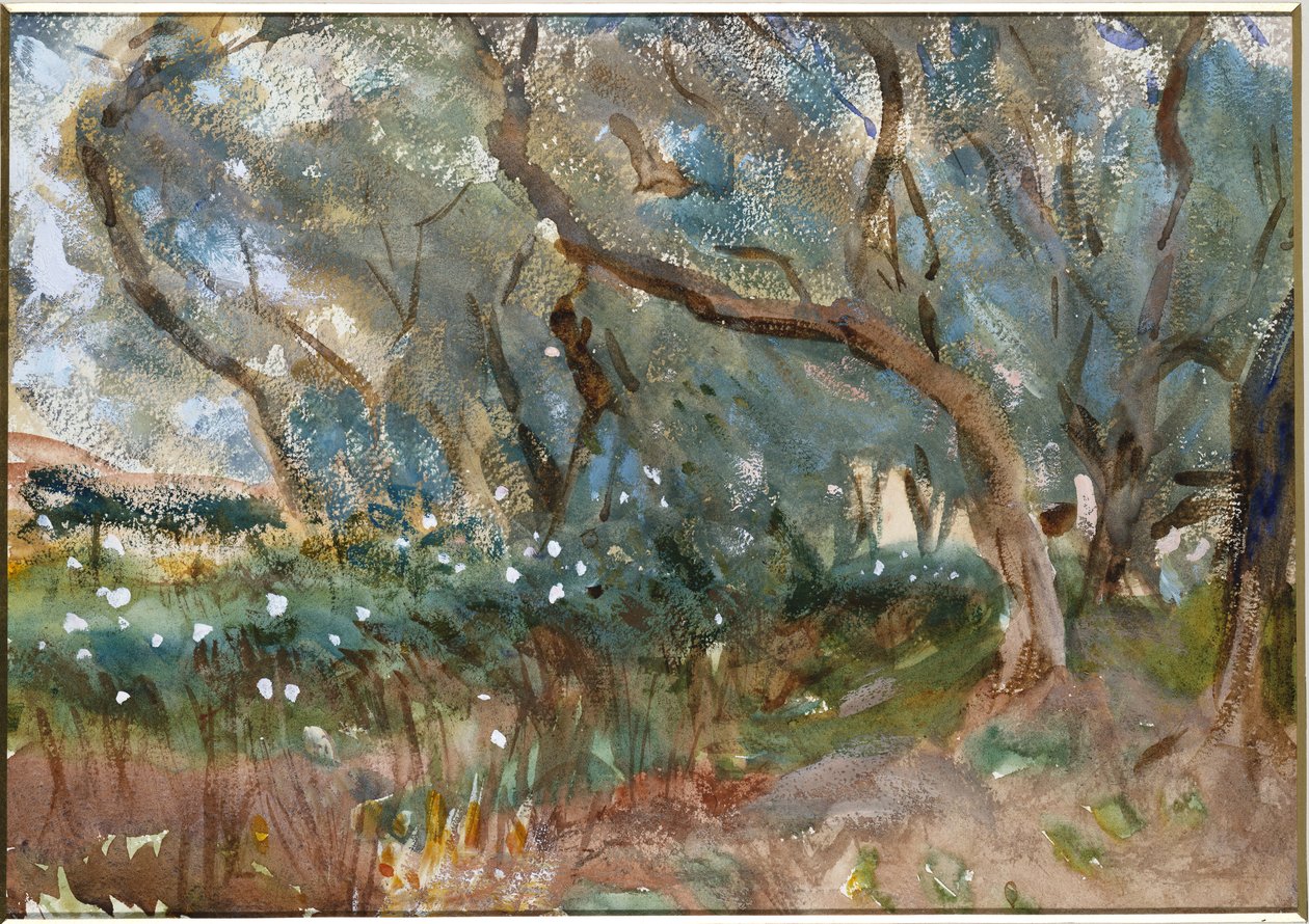 Paisagem, Corfu, 1909 de John Singer Sargent