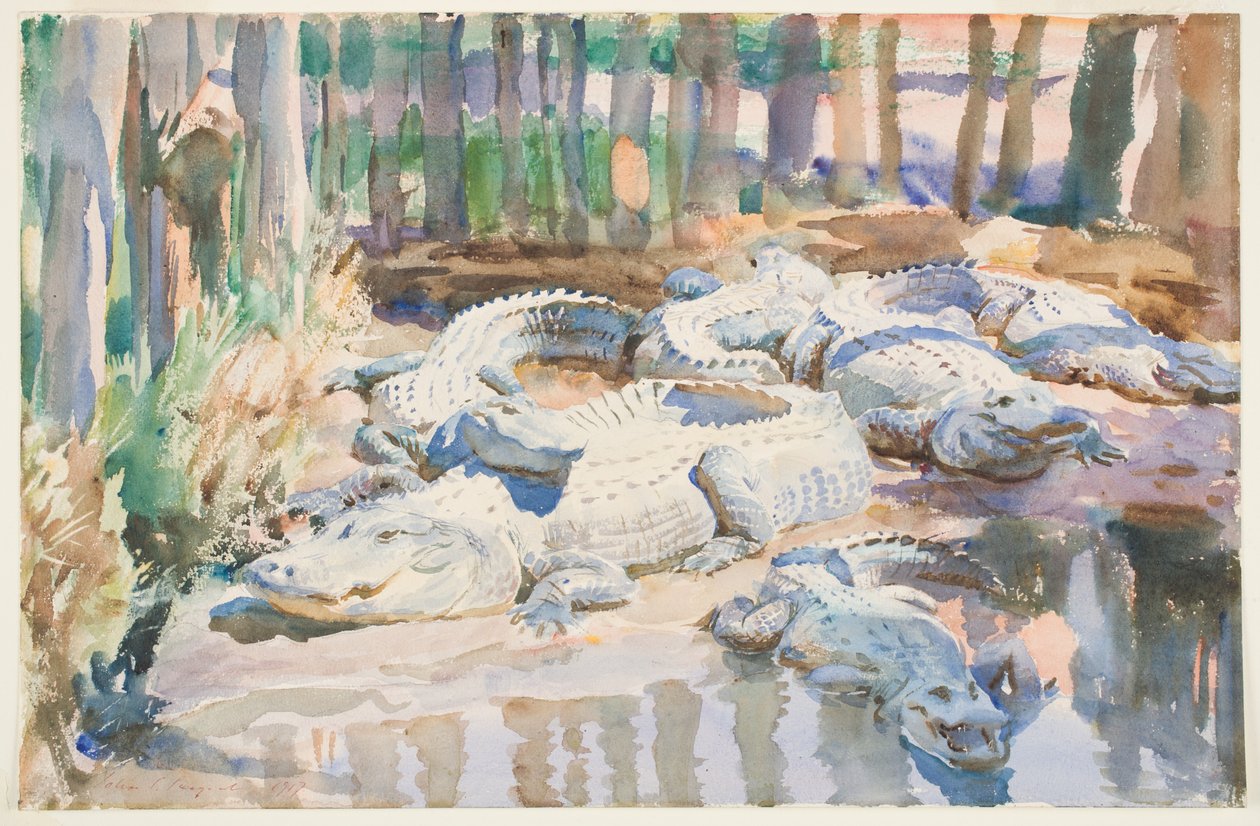 Jacarés enlameados, 1917 (wc sobre grafite sobre papel) de John Singer Sargent