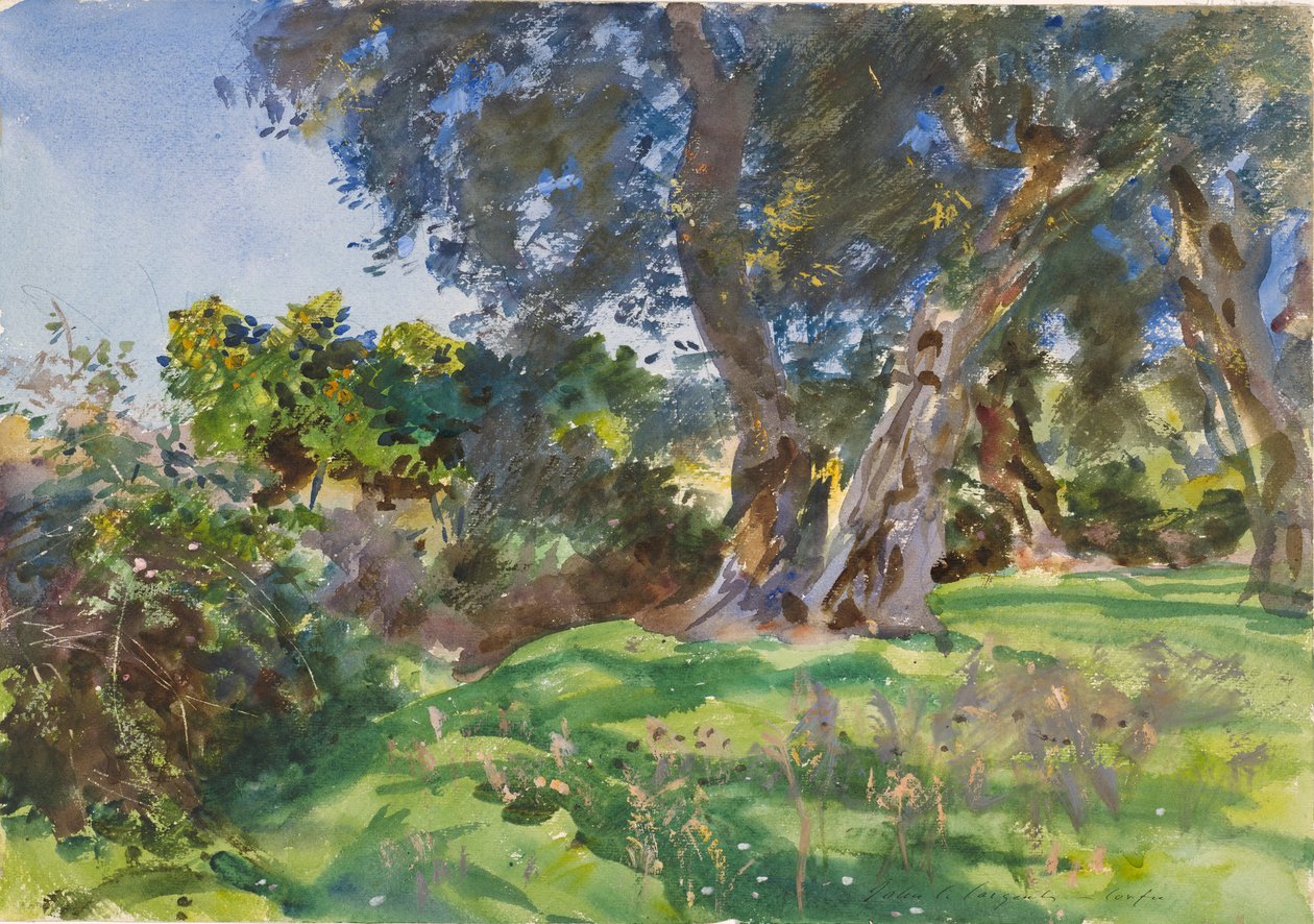 Oliveiras, Corfu de John Singer Sargent