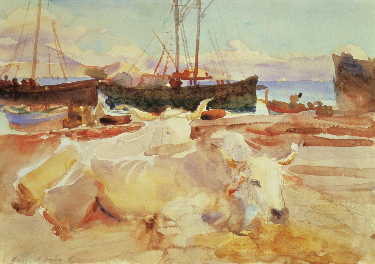 Bois na praia de Baia, c.1908 (wc no papel) de John Singer Sargent