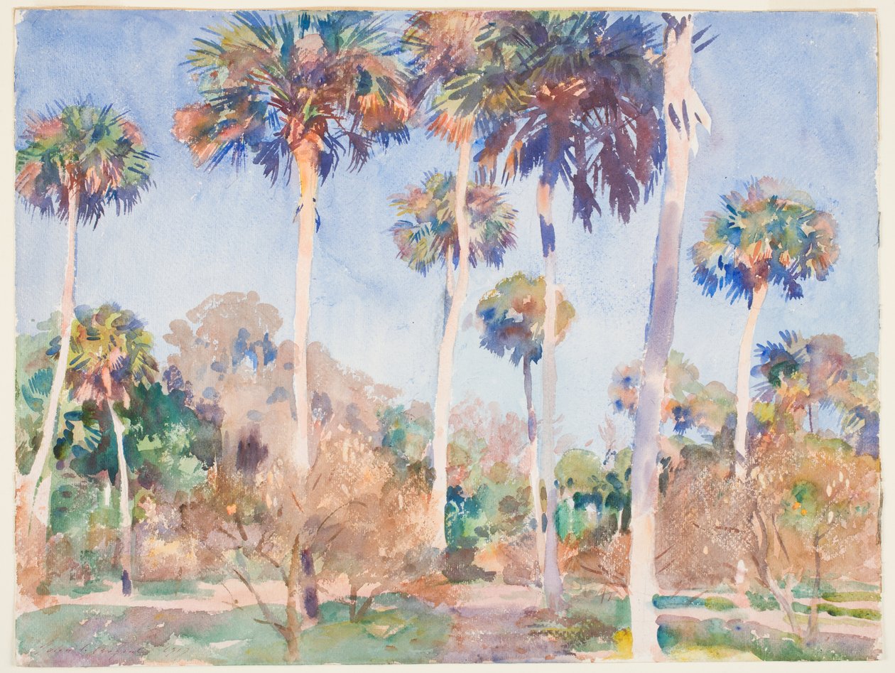 Palms, 1917 (wc sobre grafite sobre papel) de John Singer Sargent