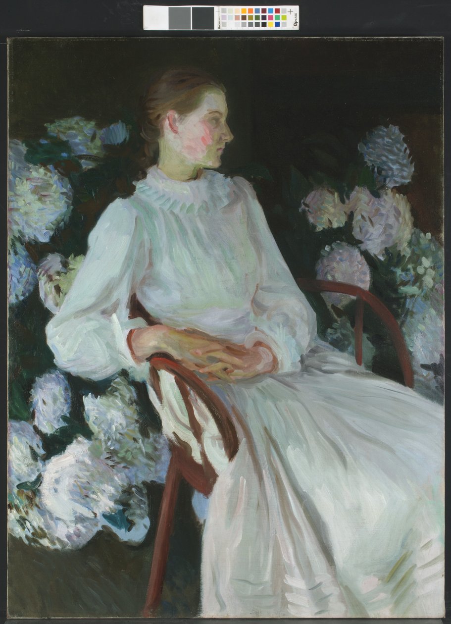Retrato de Katharine Chase Shapleigh (1875-1942) de John Singer Sargent