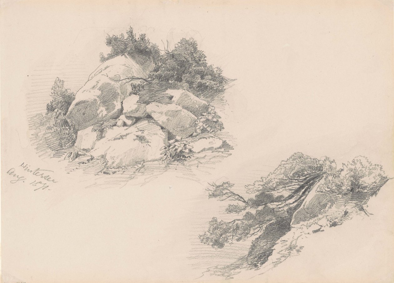 Rochas e Escova, Hintersee, Alemanha, 1871 (grafite em papel wover) de John Singer Sargent