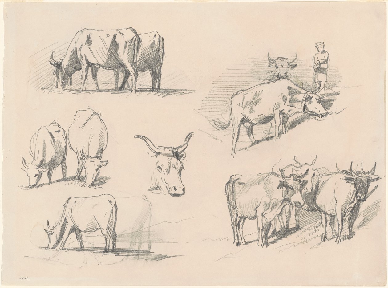 Estudos de Gado, c. 1872. de John Singer Sargent