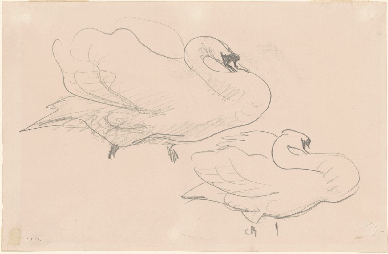 Estudos de um cisne de John Singer Sargent